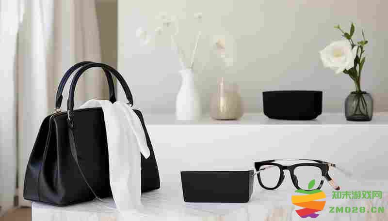 从入门到精通inZOI黑白配饰搭配全攻略 从入门到精通inZOI黑白配饰搭配全攻略