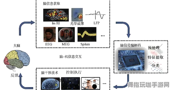 脑机接口专用版-脑机接口2.0游戏-神经信号编码全流程-五一假期必备-倒计时6天 脑机接口专用版-脑机接口2.0游戏-神经信号编码全流程-五一假期必备-倒计时6天