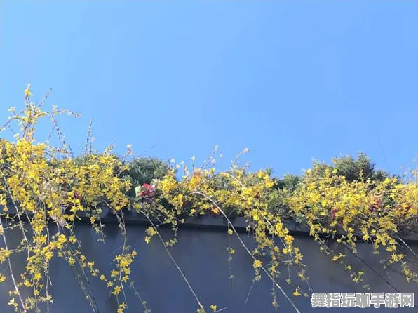 体感交互-抖音小游戏-五一假期必备-倒计时6天 体感交互-抖音小游戏-五一假期必备-倒计时6天