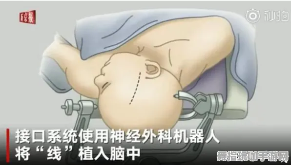 脑机接口专用版-五一假期必备-倒计时6天-神经信号编码全流程-云游戏 脑机接口专用版-五一假期必备-倒计时6天-神经信号编码全流程-云游戏