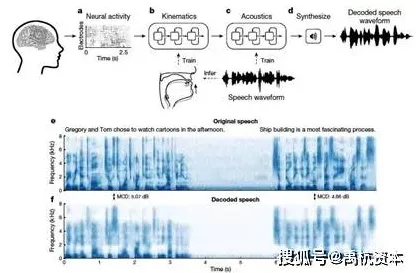脑机接口2.0游戏-实时更新-0428-脑机接口专用版 脑机接口2.0游戏-实时更新-0428-脑机接口专用版