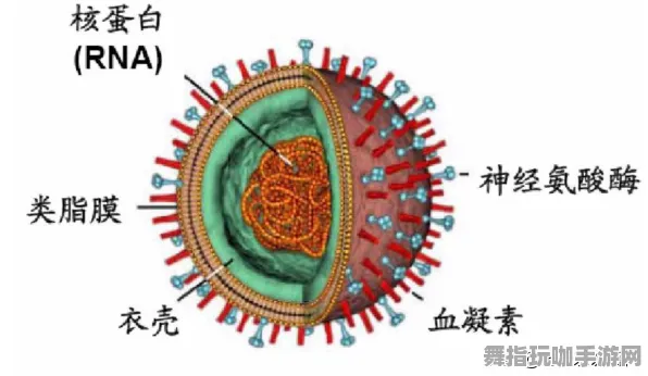 4月版本V2.0-抖音小游戏-AI生成式游戏-神经信号编码全流程 4月版本V2.0-抖音小游戏-AI生成式游戏-神经信号编码全流程