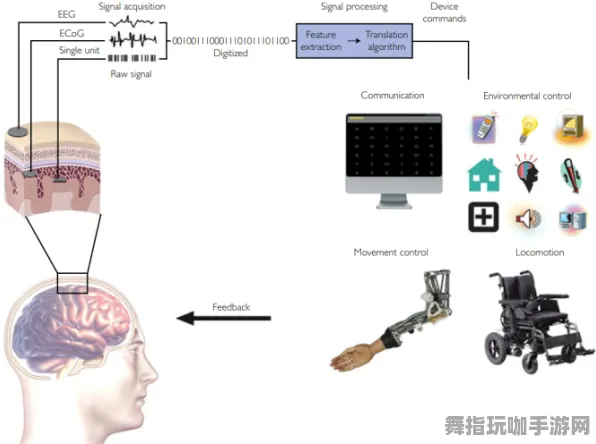 神经信号编码全流程-热修复补丁V3-元宇宙沙盒-脑机接口专用版 神经信号编码全流程-热修复补丁V3-元宇宙沙盒-脑机接口专用版