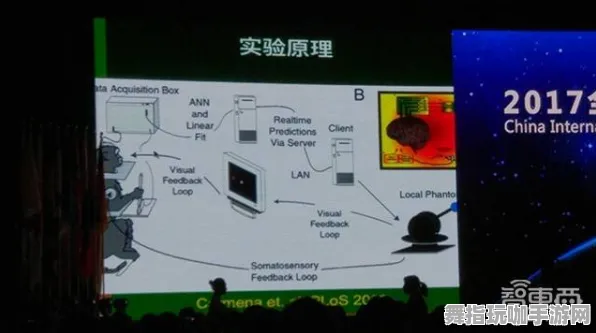 元宇宙沙盒-脑机接口专用版-角色培养方案-4月版本V2.0 元宇宙沙盒-脑机接口专用版-角色培养方案-4月版本V2.0