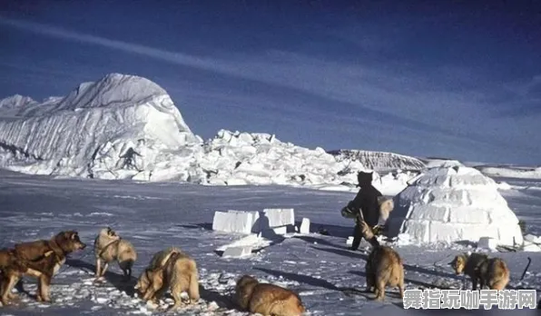 2025年4月最新版-体感交互-资源包下载-微信小程序 2025年4月最新版-体感交互-资源包下载-微信小程序