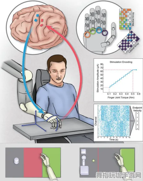 脑机接口专用版-体感交互-实时更新-0428 脑机接口专用版-体感交互-实时更新-0428
