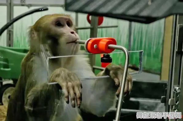 4月版本V2.0-脑机接口游戏-淘宝互动 4月版本V2.0-脑机接口游戏-淘宝互动