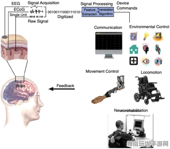 脑机接口专用版-脑机接口游戏-装备合成指南-4月版本V2.0 脑机接口专用版-脑机接口游戏-装备合成指南-4月版本V2.0