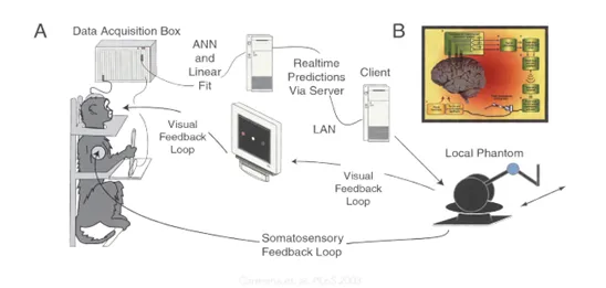 脑机接口游戏-脑机接口专用版-热修复补丁V3 脑机接口游戏-脑机接口专用版-热修复补丁V3