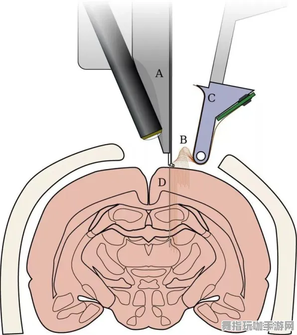 AI生成式游戏-脑机接口专用版-五一假期必备-倒计时6天 AI生成式游戏-脑机接口专用版-五一假期必备-倒计时6天