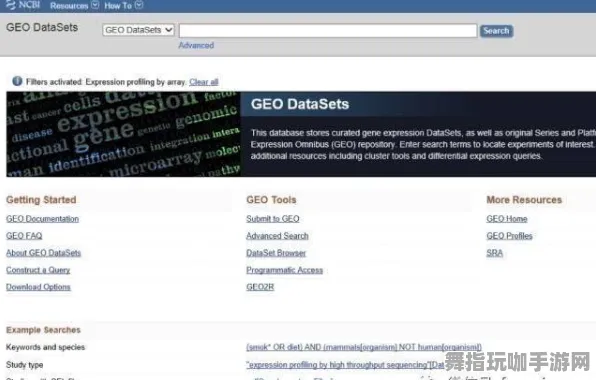 神经信号编码全流程-开放世界RPG-支付宝即玩-4月版本V2.0 神经信号编码全流程-开放世界RPG-支付宝即玩-4月版本V2.0