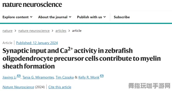 4月版本V2.0-神经信号编码全流程-Windows全息版-体感交互 4月版本V2.0-神经信号编码全流程-Windows全息版-体感交互