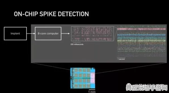 脑机接口专用版-跨平台联机-热修复补丁V1 脑机接口专用版-跨平台联机-热修复补丁V1