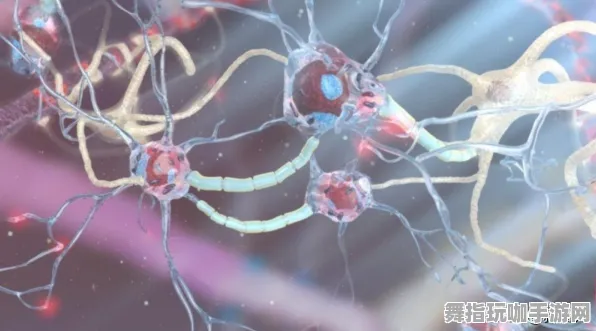 云游戏-隐藏任务解析-脑机接口专用版-热修复补丁V1 云游戏-隐藏任务解析-脑机接口专用版-热修复补丁V1