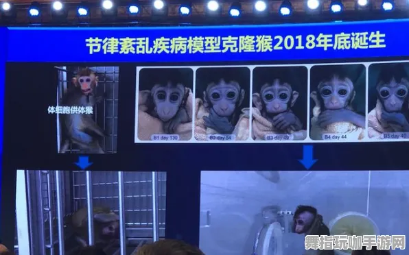 微信小程序-2025年4月最新版-脑机接口游戏-99%玩家未触发剧情 微信小程序-2025年4月最新版-脑机接口游戏-99%玩家未触发剧情