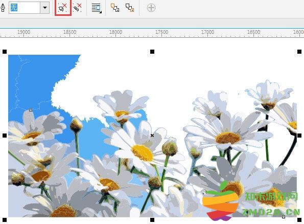 CorelDRAW怎么去处复杂的图片背景并提取矢量图