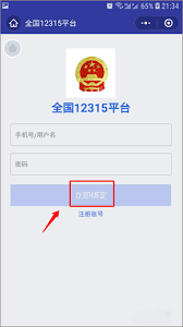 如何有效利用全国12315平台进行投诉与咨询服务的详细指南