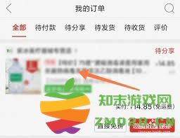 如何在拼多多平台上取消已经发起的拼单订单？详细操作步骤解析