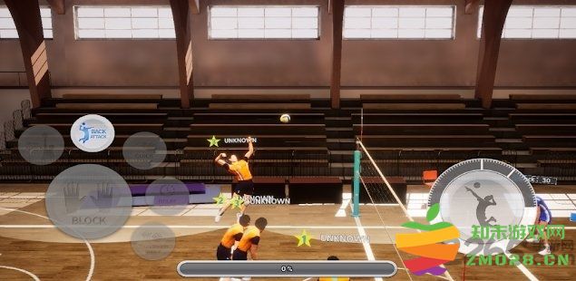 真实排球手游 v1.0 安卓版 0