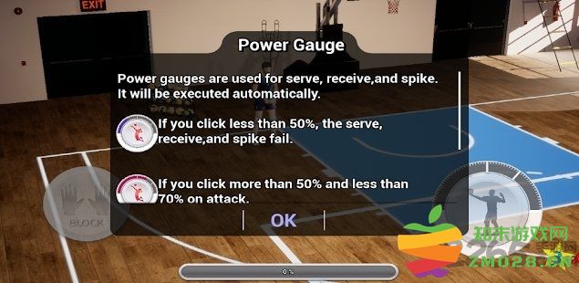 真实排球手游 v1.0 安卓版 3