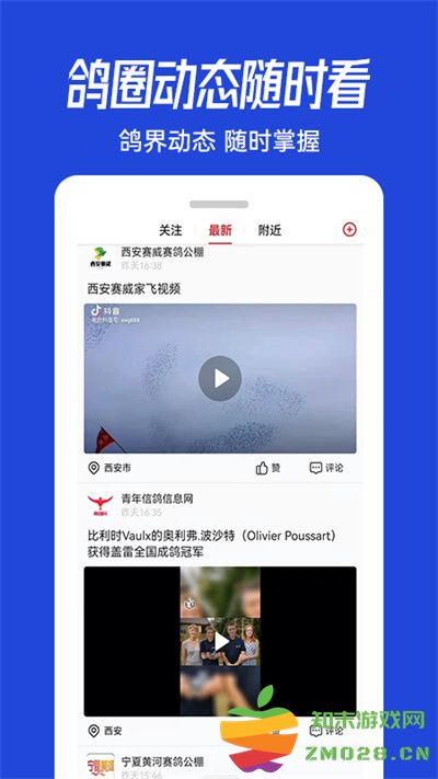 青鸽网查指定成绩软件 v4.0.1 官方安卓版 3