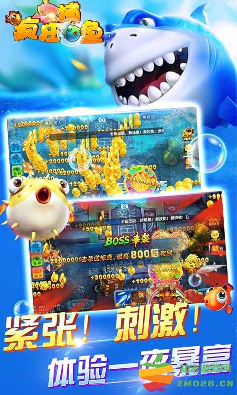 2025鱼丸疯狂捕鱼官方版 v10.2.44.1.0 安卓版 1