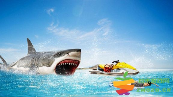 海底大猎杀任务手机版 v0.2 安卓版 1