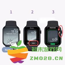 如何正确调整苹果手表上的日期设置以解决时间不准确的问题