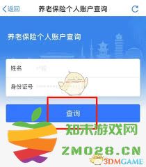 黑龙江省如何查询养老金的发放情况及相关政策解读