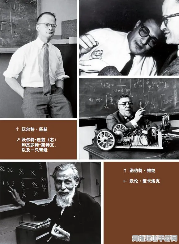 神经信号编码全流程-2025年4月最新版-云游戏-淘宝互动