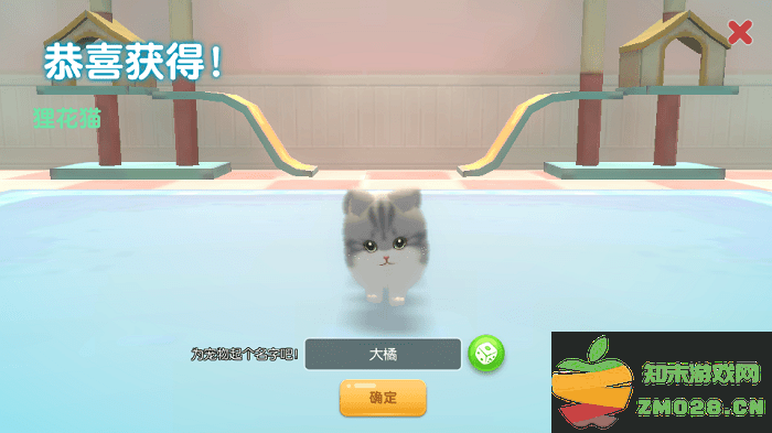 养了个猫2025最新版 v0.19.38(2204251506) 安卓联机版 0