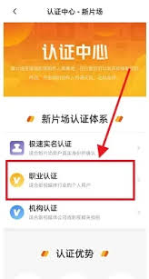如何有效利用新片场进行视频制作与创作技巧分享