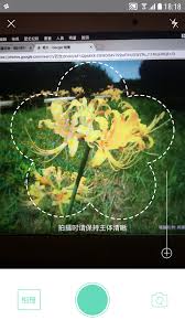 使用形色app轻松查找和识别桑树的详细方法和技巧