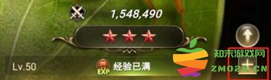 小小蚁国特化蚁等级提升的意义与作用分析 以及如何合理利用特化蚁提升游戏体验