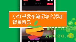 如何在小红书笔记中为内容选择合适的背景音乐以提升整体氛围