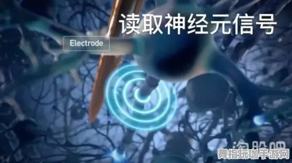 脑机接口专用版-五一假期必备-倒计时6天-开放世界RPG