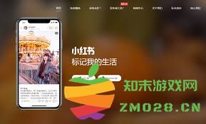 怎样在小红书中找到并管理您收藏的音乐内容和资源