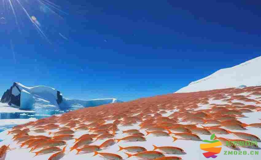 光遇复刻先祖隐藏彩蛋位置详解及分享攻略，让你轻松找到所有彩蛋