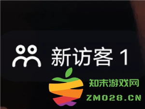 抖音访客记录是否存在？当抖音访客显示有一个访问却无法查看的原因解析