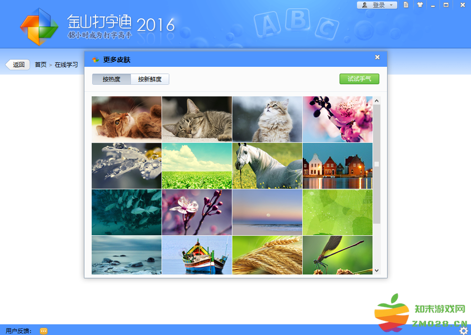 女子校园模拟器