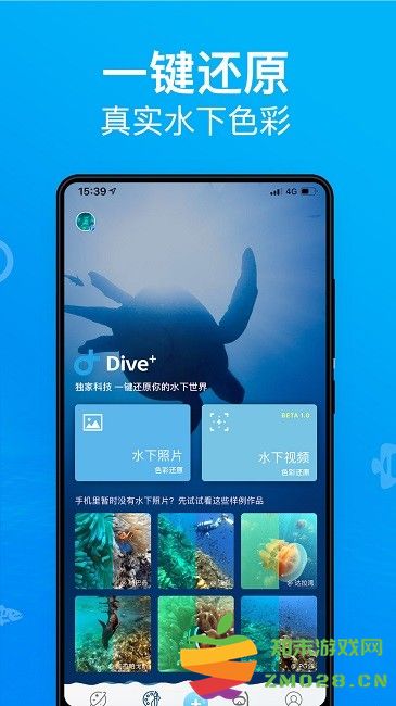 diveplus中文版免费(dive+) v3.6.5 安卓版 2