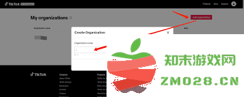 TikTok轻量版网页如何进行登录操作，详细步骤解析及注意事项