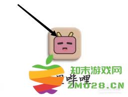 在哔哩哔哩平台中如何轻松查看自己的成就勋章与荣誉