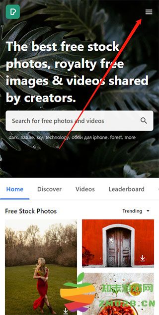 pexels设置成中文教程