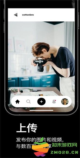 pexels素材中文版下载