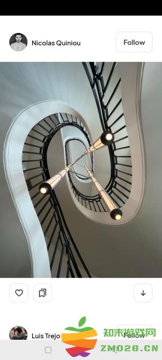 pexels下载图片教程