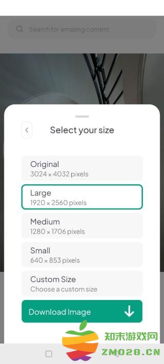 pexels软件下载图片视频步骤