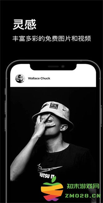 pexels素材中文版 v7.2.6 安卓手机最新版 1
