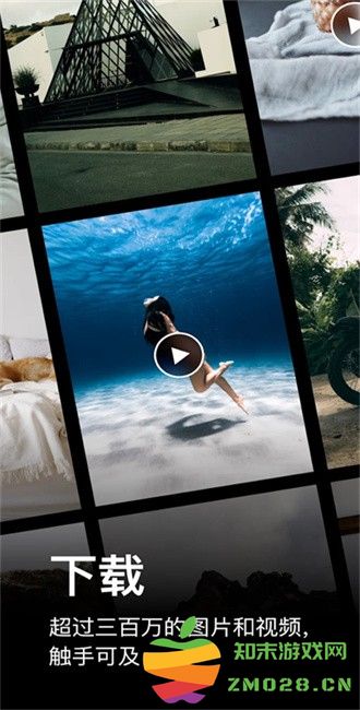 pexels素材中文版 v7.2.6 安卓手机最新版 2