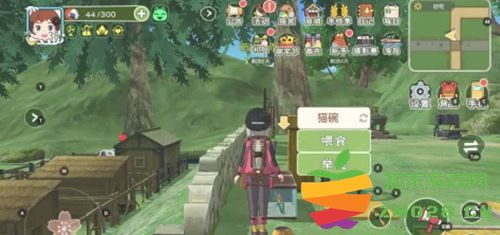 小森生活如何成功领养猫咪 详细猫咪领养步骤与攻略介绍